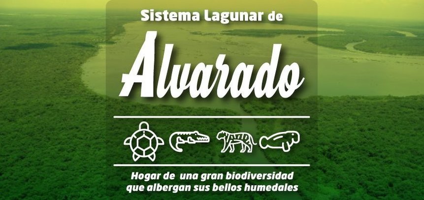 Sistema Lagunar de Alvarado